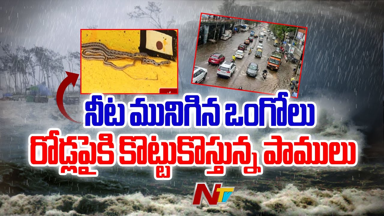 Montha Cyclone: ప్రకాశం జిల్లాపై మొంథా తుఫాన్ ఎఫెక్ట్ | Heavy Rain Hits Prakasam District, Ongole