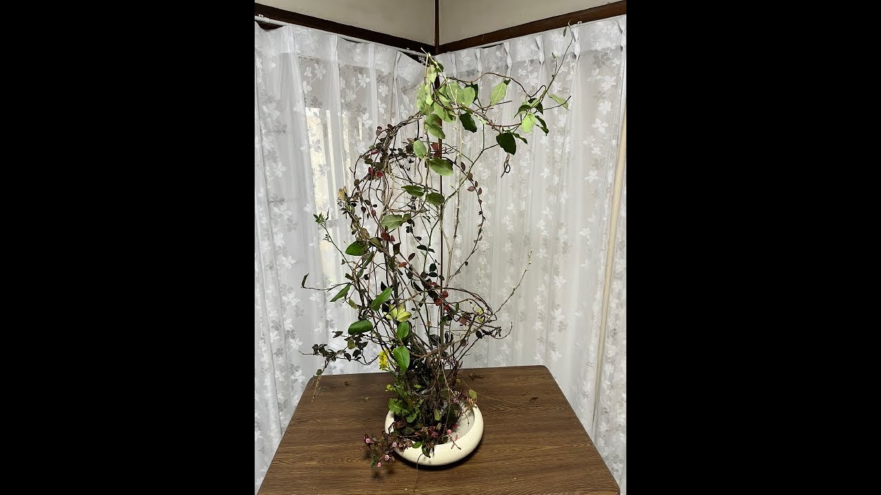 投稿895　０蘭Nature art