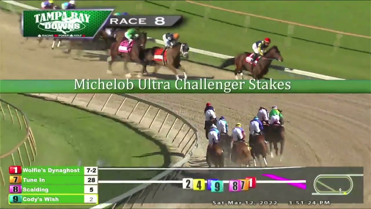 8va Carrera / Michelob Ultra Challenger Stakes (G3, $100,000) / Ganador: Scalding #TampaBayDowns