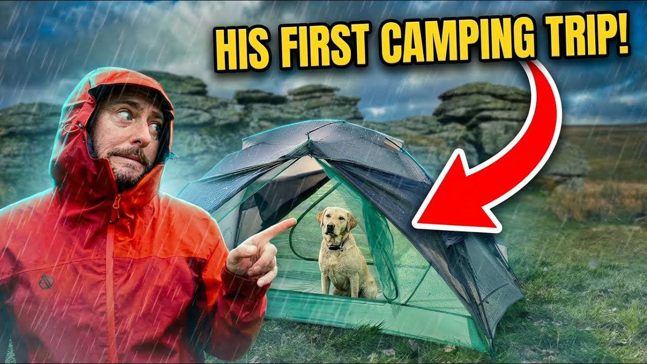 A WET & WINDY Wild Camp to Test this NEW Tent! But Does my Dog like wild camping Y/N?