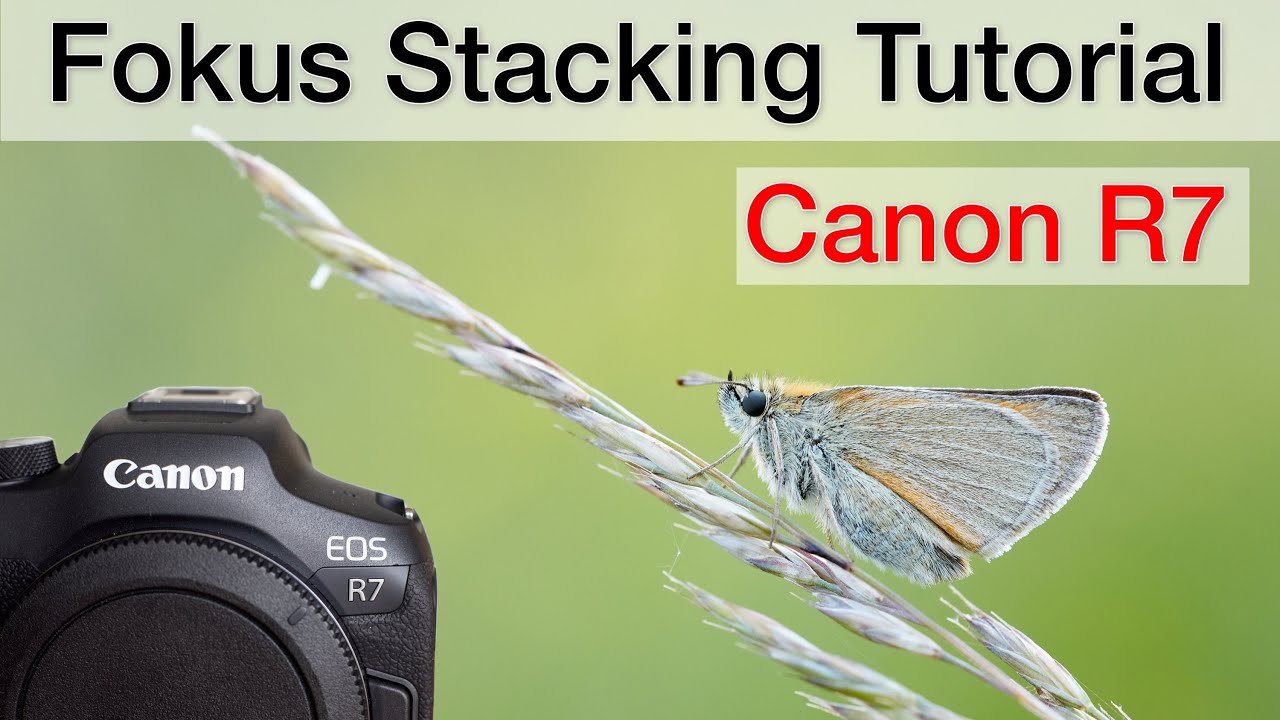 Fokus Stacking mit der Canon R7 - Anleitung (Schritt-für-Schritt Tutorial)
