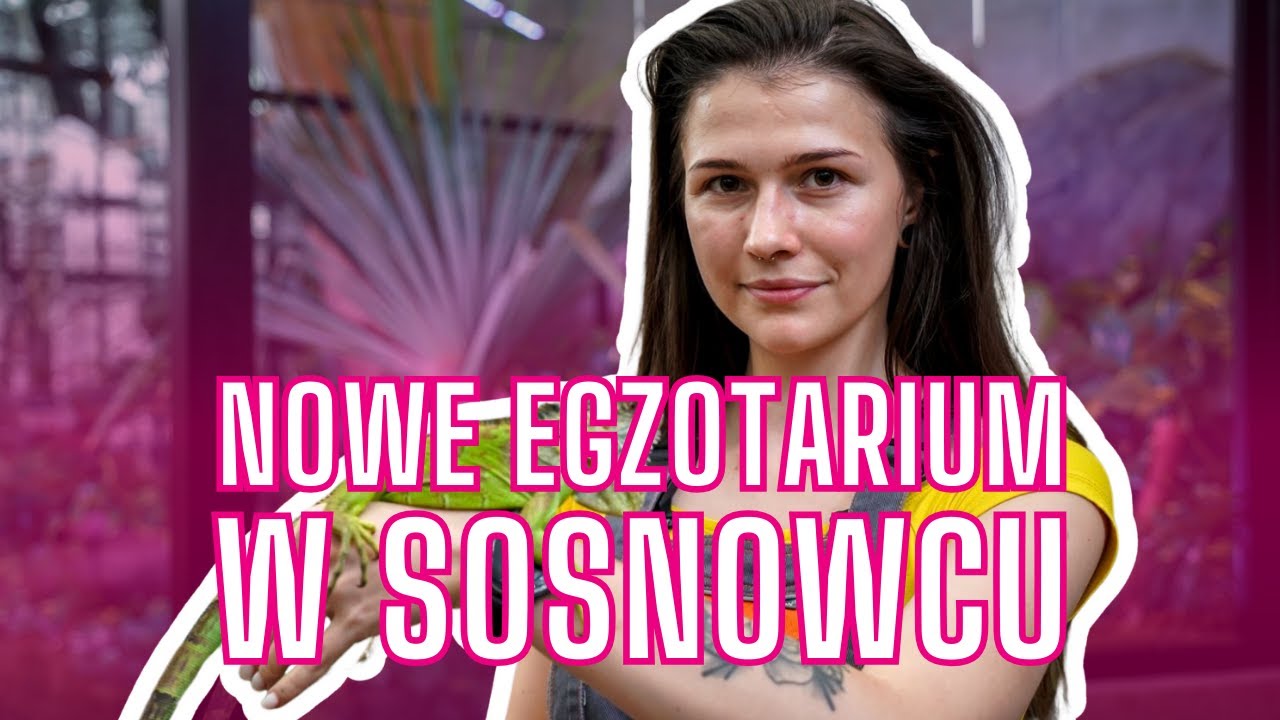 Nowe Egzotarium w Sosnowcu już prawie gotowe. Zachwyca!