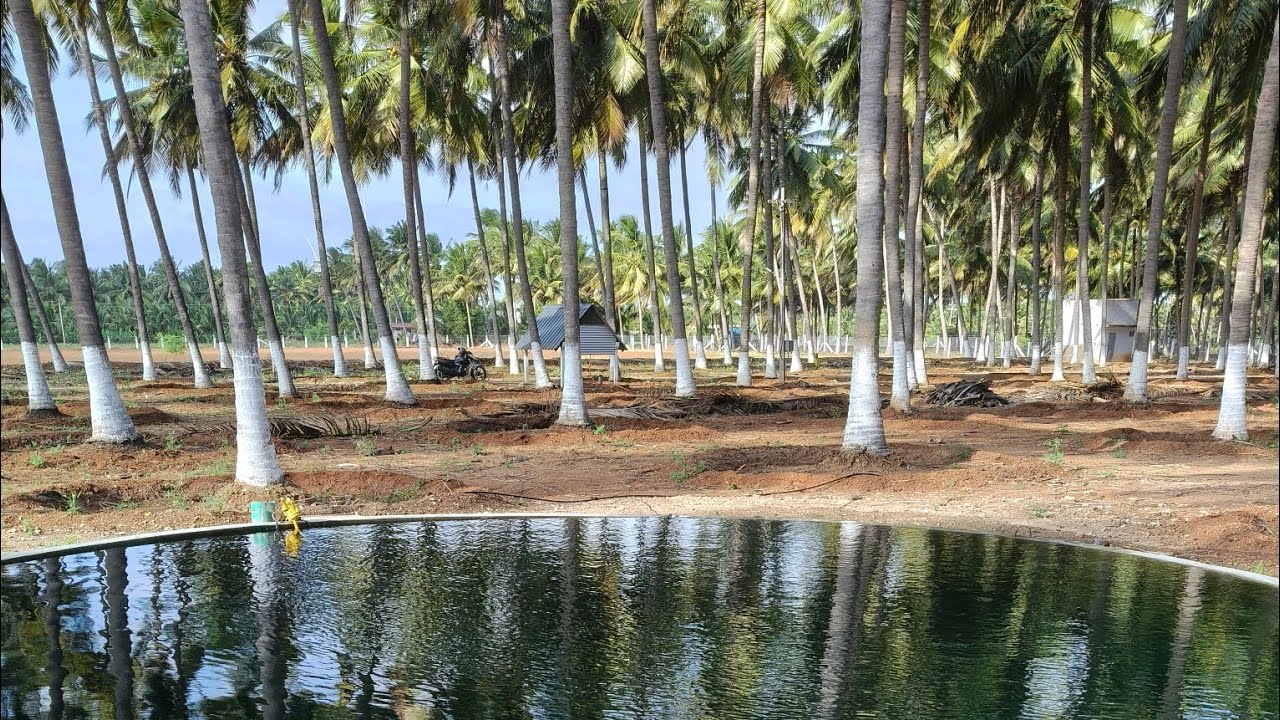 3. 75 ஏக்கர் + இலவச சர்வீஸ் + போர்வெல் தொட்டியுடன்+ ஃபார்ம் ஹவுஸ் + தார் ரோடு+ செம்மண் பூமி+ பிஏபி 