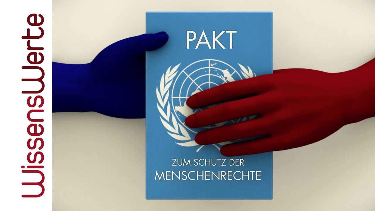 Fokus Menschenrechte: Nichtregierungsorganisationen, Frauenrechte, Zweite Dimension