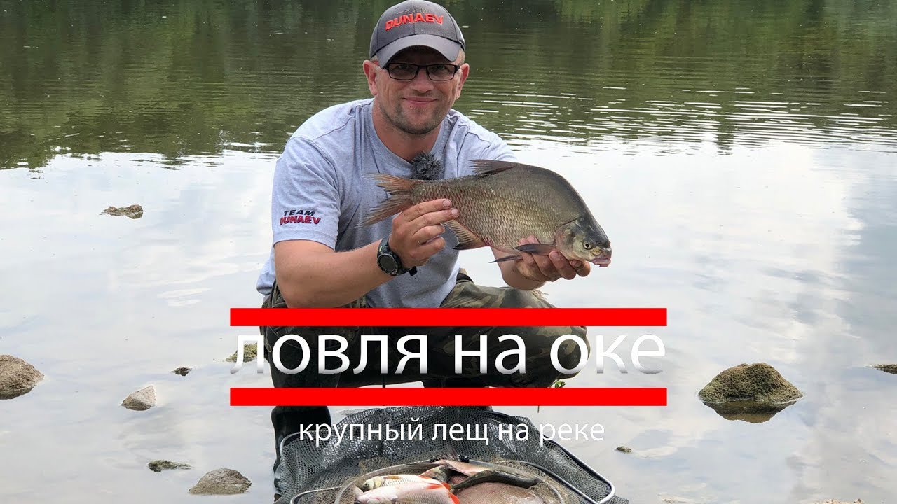 Ловля крупного леща на Оке