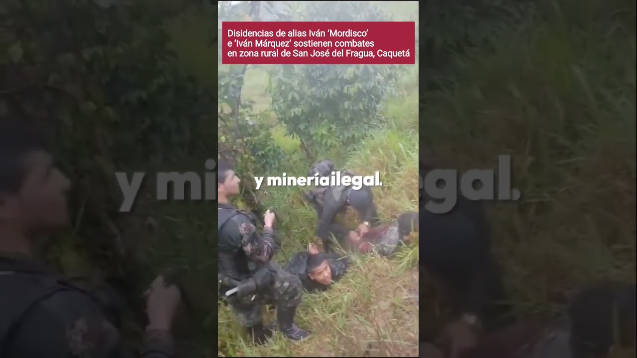 Disidencias de &lsquo;Mordisco&rsquo; e &lsquo;Iv&aacute;n M&aacute;rquez&rsquo; sostienen combates