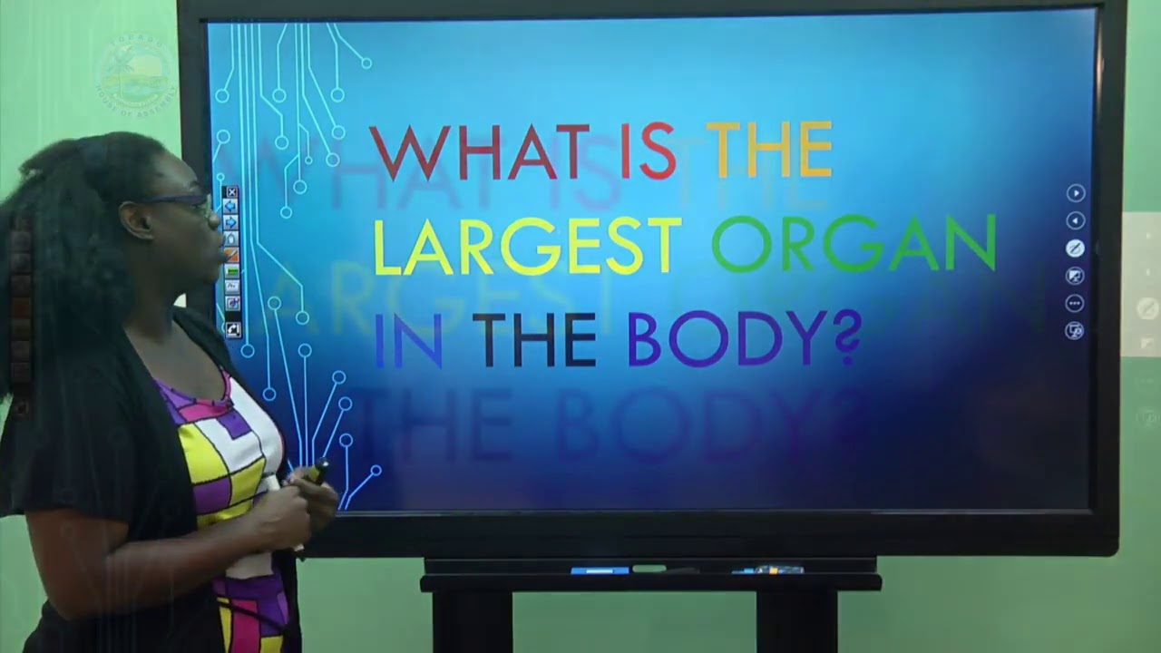 CSEC Biology- Irritability 2 Of 2