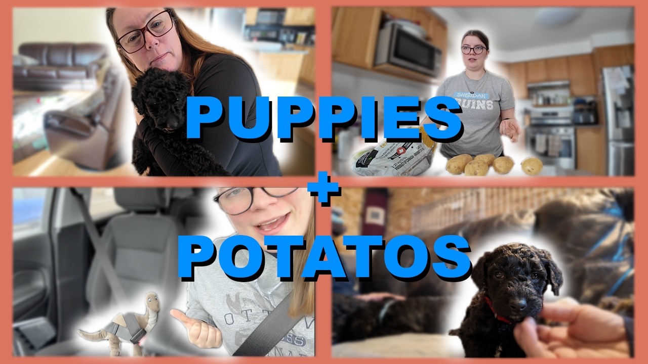 PICKING OUT A NEW PUPPY!!! ||Second Saturday IRL||