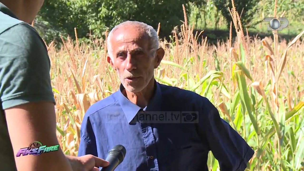 Fiks Fare/ Rruga Qukës - Qafë Plloçë, gabimet e projektimit na kushtojnë 73.6 milionë USD