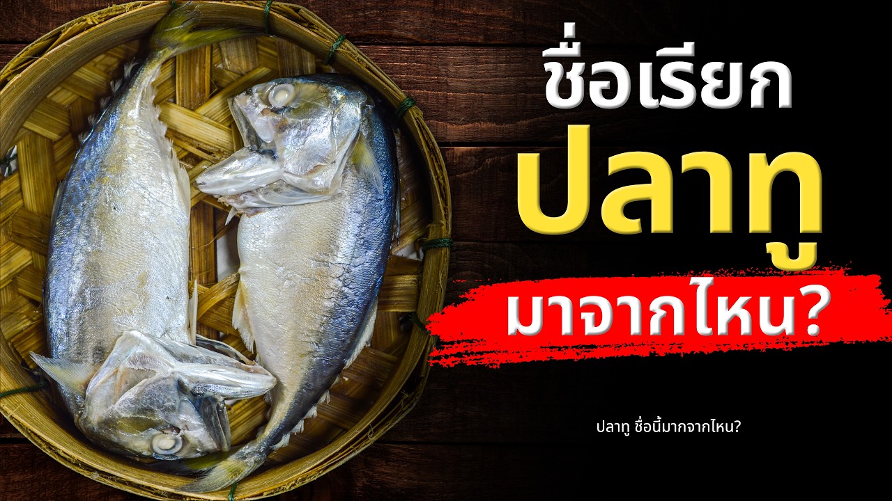 ไขข้อสงสัย? ที่มาของชื่อ 