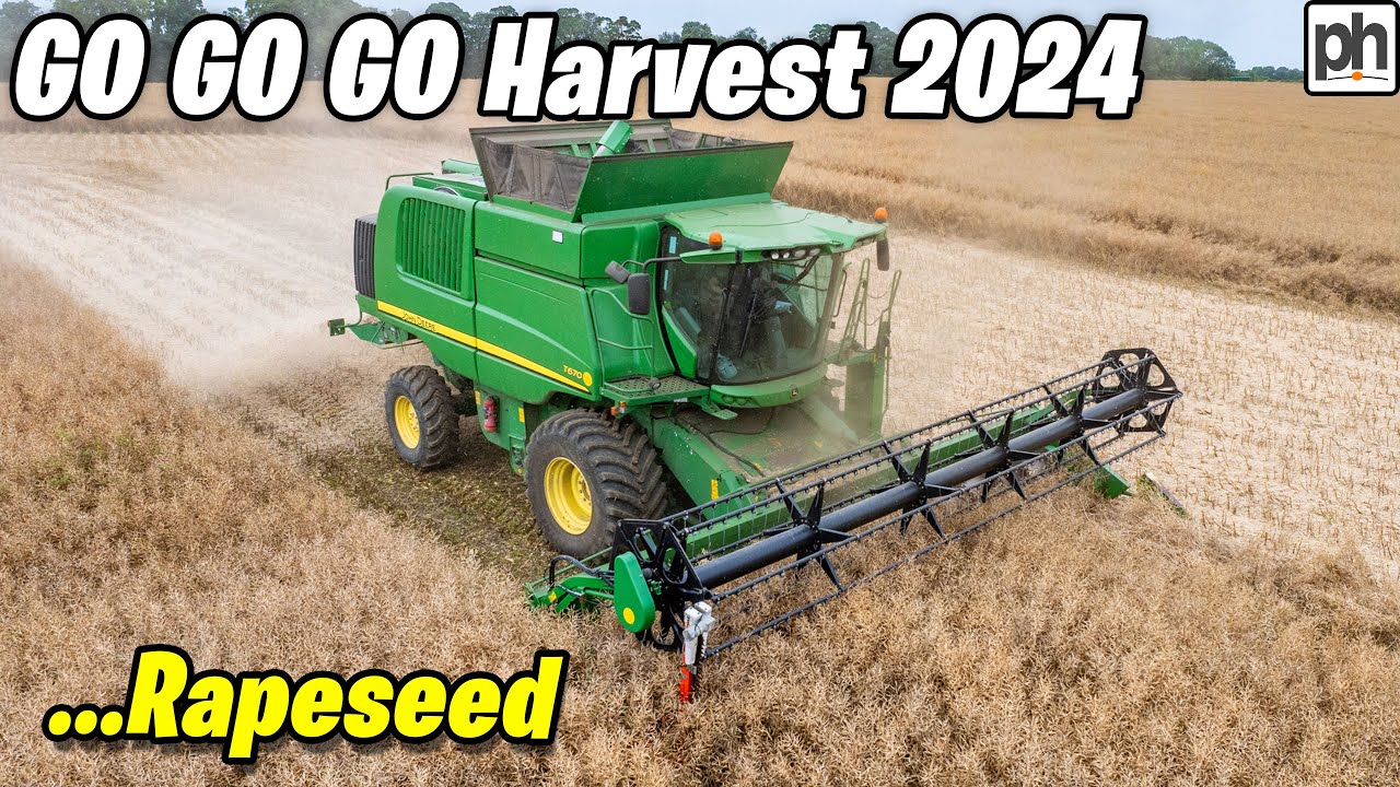 Start of Rapseed Harvest 2024 #harvest2024
