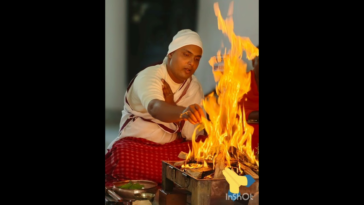 কল্পতরু উৎসব ২০২৬/KOLPOTORU UTSHAB,2026/রকমারি সুস্বাদু রান্না ও ব্লগ /ROKOMARI SUSHADU RANNA& BLOG 