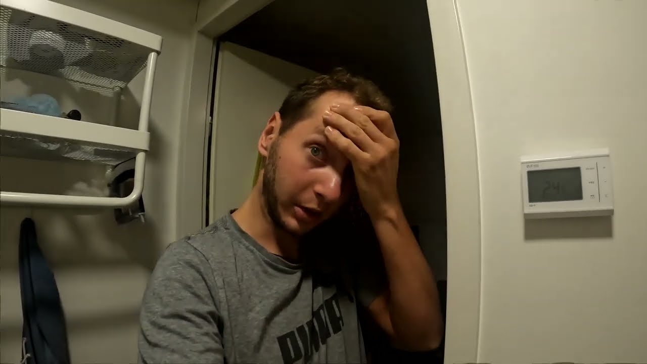 Sortownie owoców w Holandii Vlog i praca na kostce brukowej