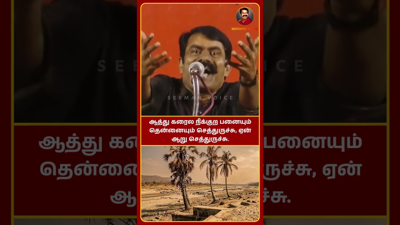 ஆத்து கரைல நிக்குற பனையும் தென்னையும் செத்துருச்சு, ஏன் ஆறு செத்துருச்சு. #seeman #ntk