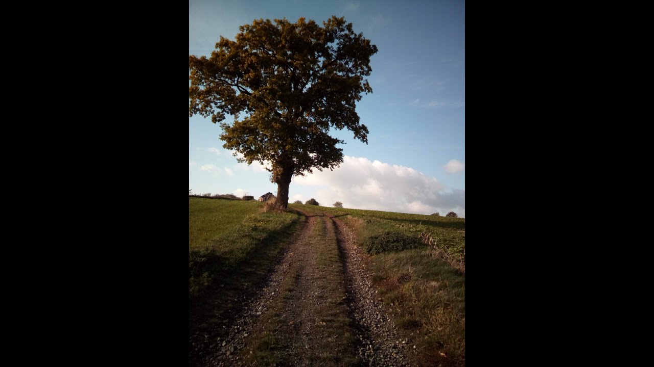 Grizzly Beartrail 100K 2018