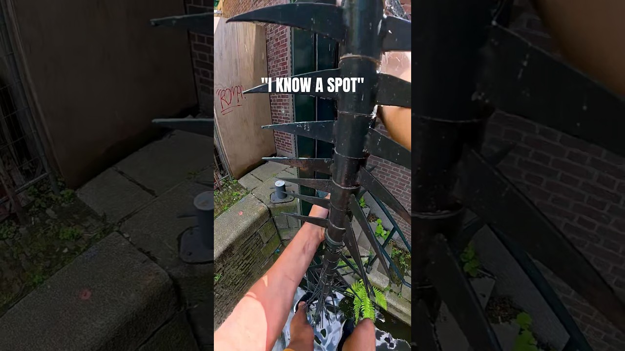 Anything for a new parkour spot