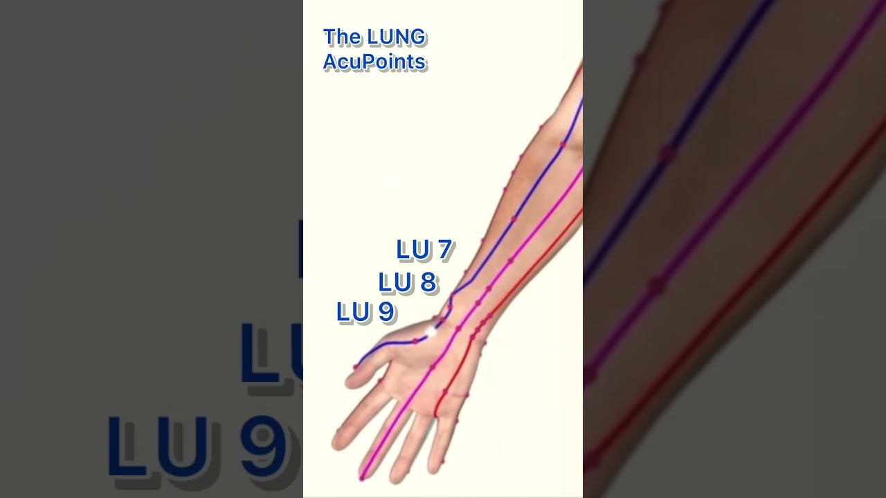 The LUNG meridian acupuncture points #acupuncturepoints