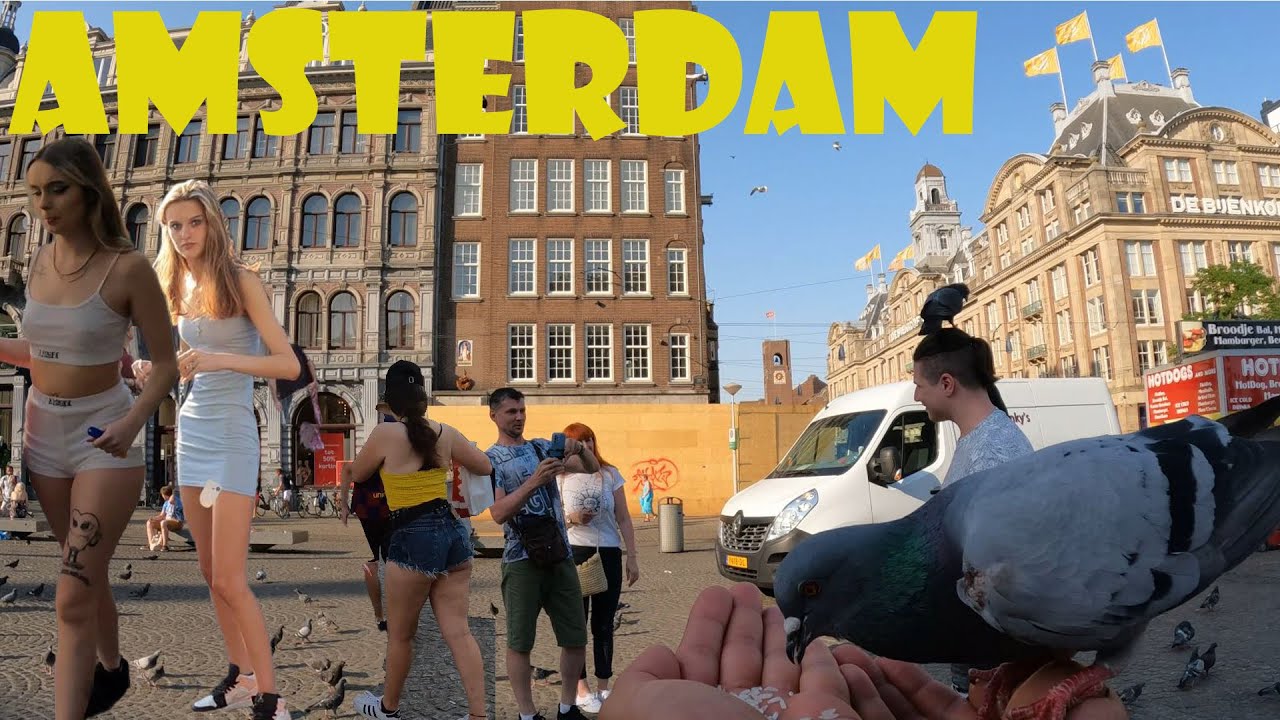 Amsterdam Street Walk. Wal to Kalverstraat through Dam at19:00 in Aug. This video is a travel guide