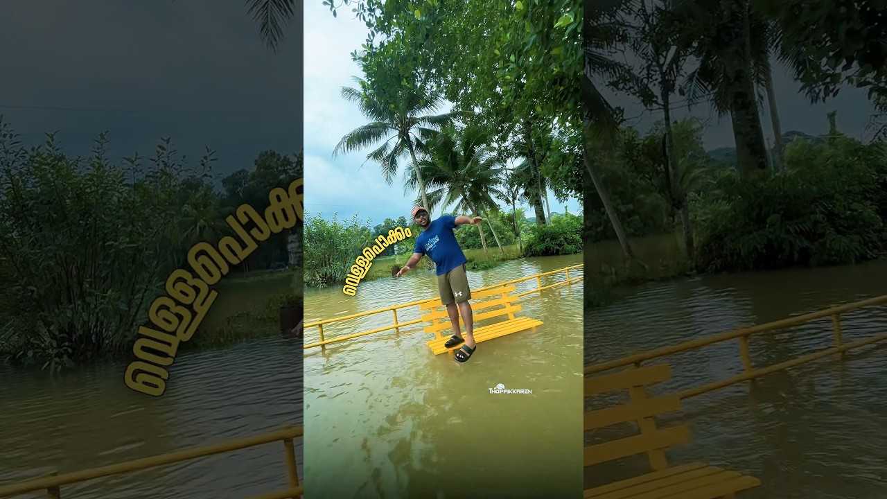 Kottayam flood
