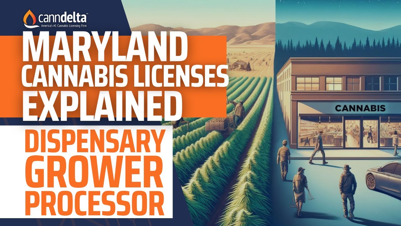 How to Start a Cannabis Business in Maryland in 2024