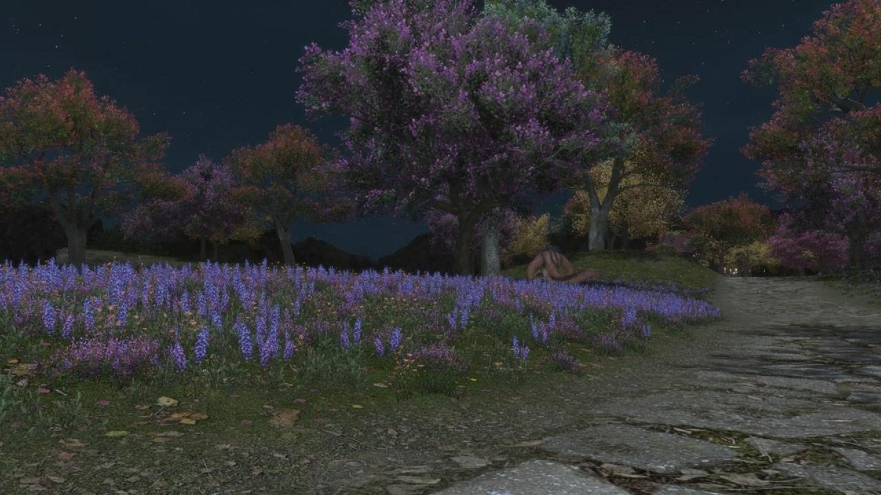 A Brother's Duty: Accept the Quest &ndash; Main Scenario Quest | Final Fantasy XIV PS5