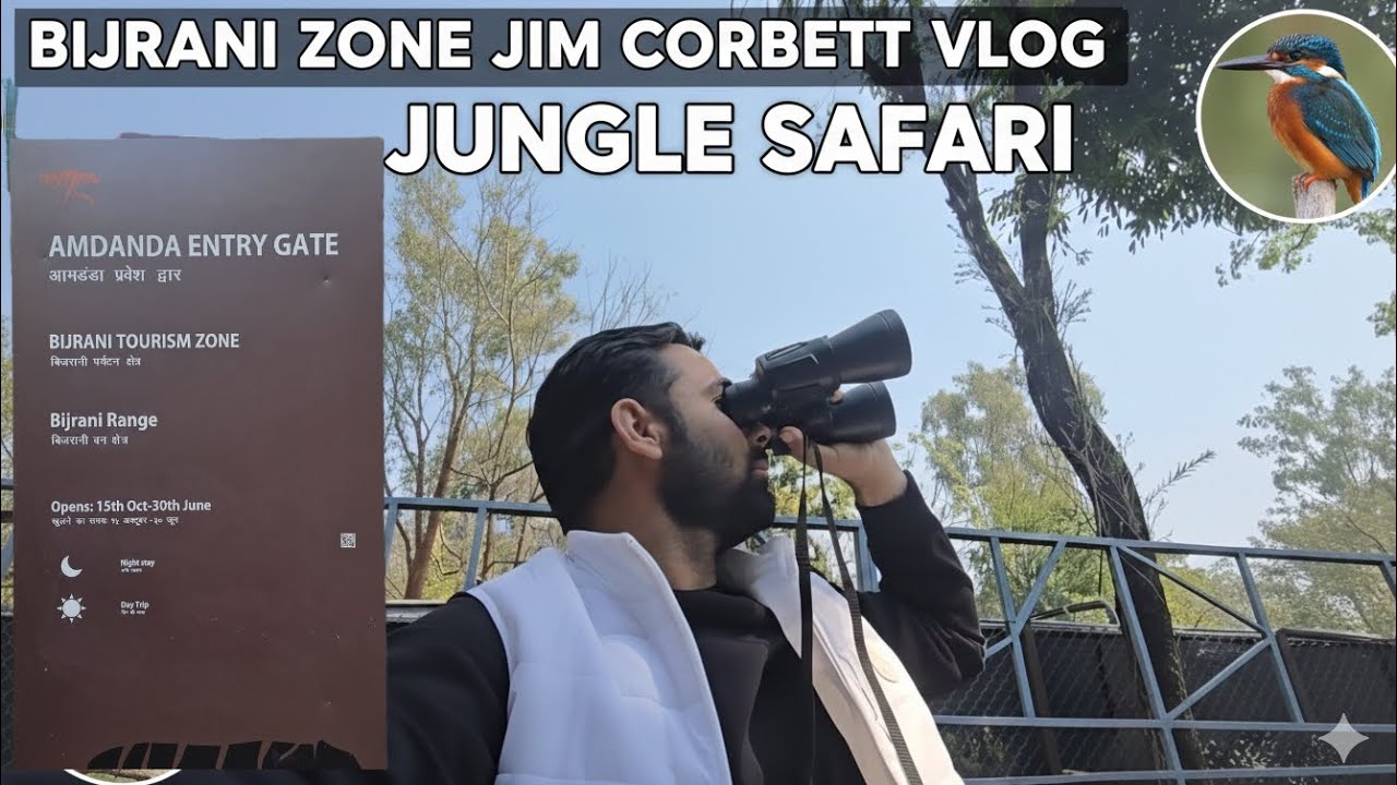  Jim Corbett Bijrani Safari Adventure | Tioa Riverside Peace to Bonfire Night