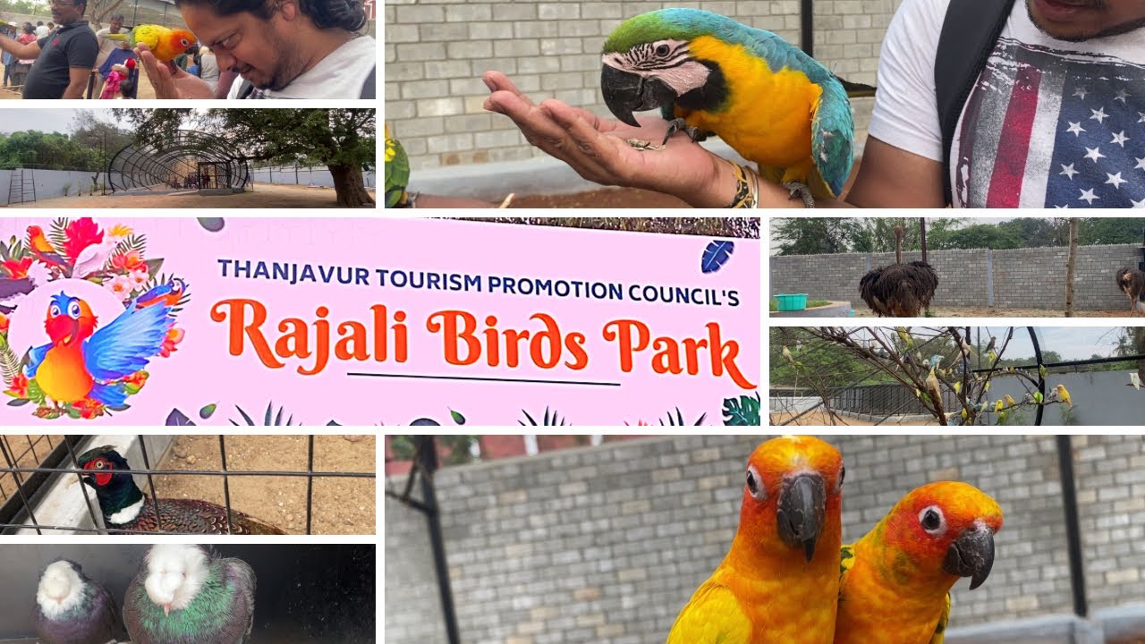 Rajali Birds Park Thanjavur | Exotic Birds from 20 different Countries | Voice of Vinu