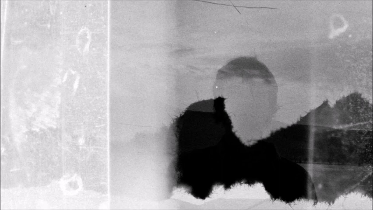 Cirrus Minor - Orchid