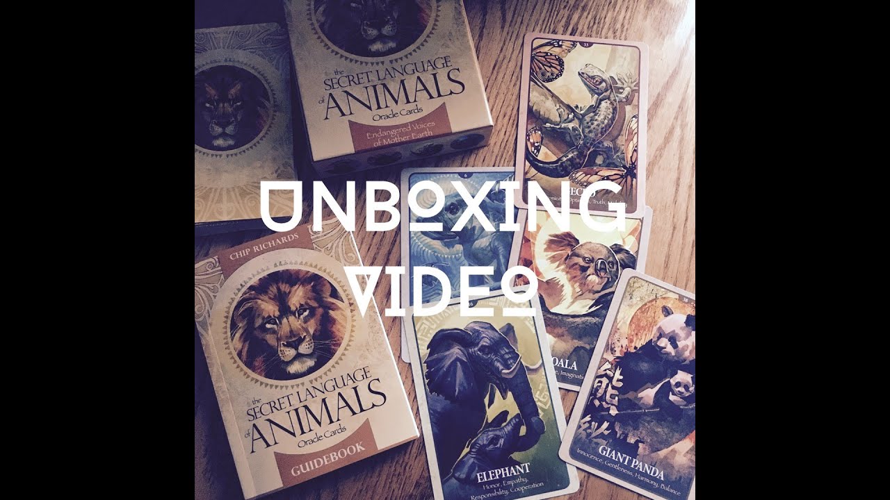 Secret Language of Animals Oracle - Unboxing