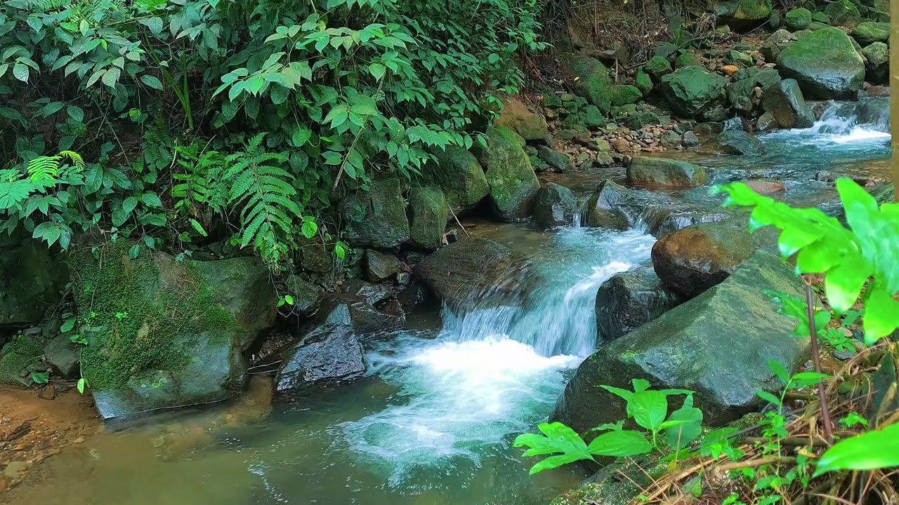 Moonlit River Sounds – Gentle Water Flow Ambience to Help You Fall Asleep Faster