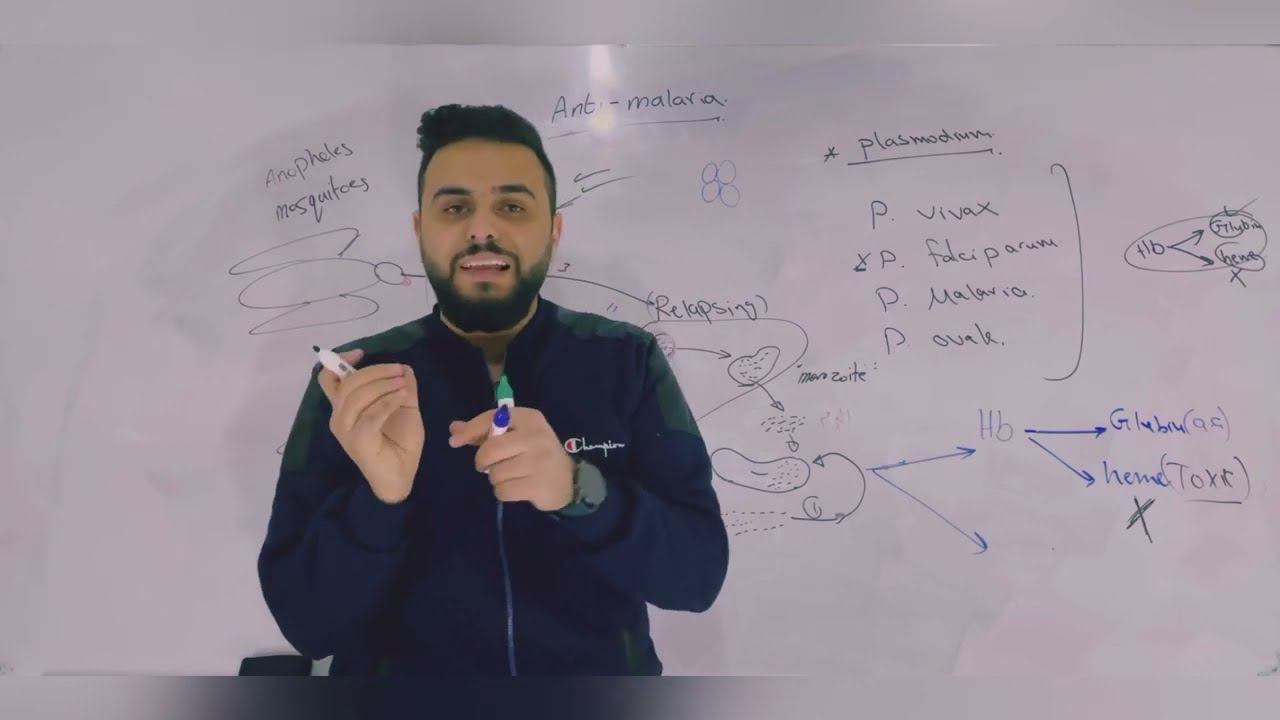 Pharmacology 3 / Antimalaria