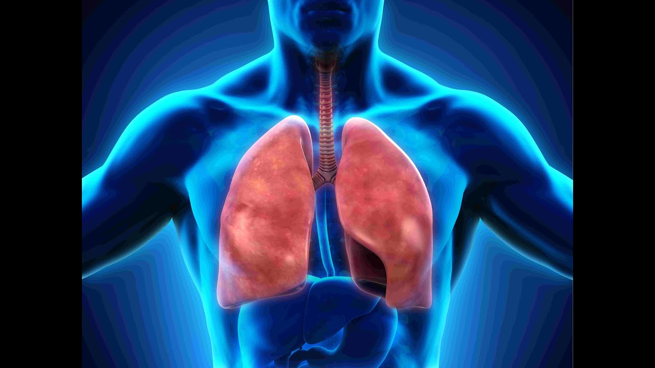 Techniques de respiration par Pierre-Louis Dupont