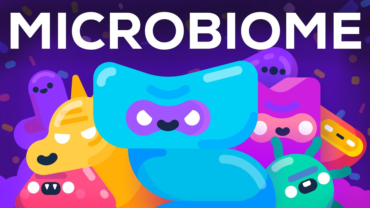 Comment les bactéries règnent sur votre corps - Le microbiome