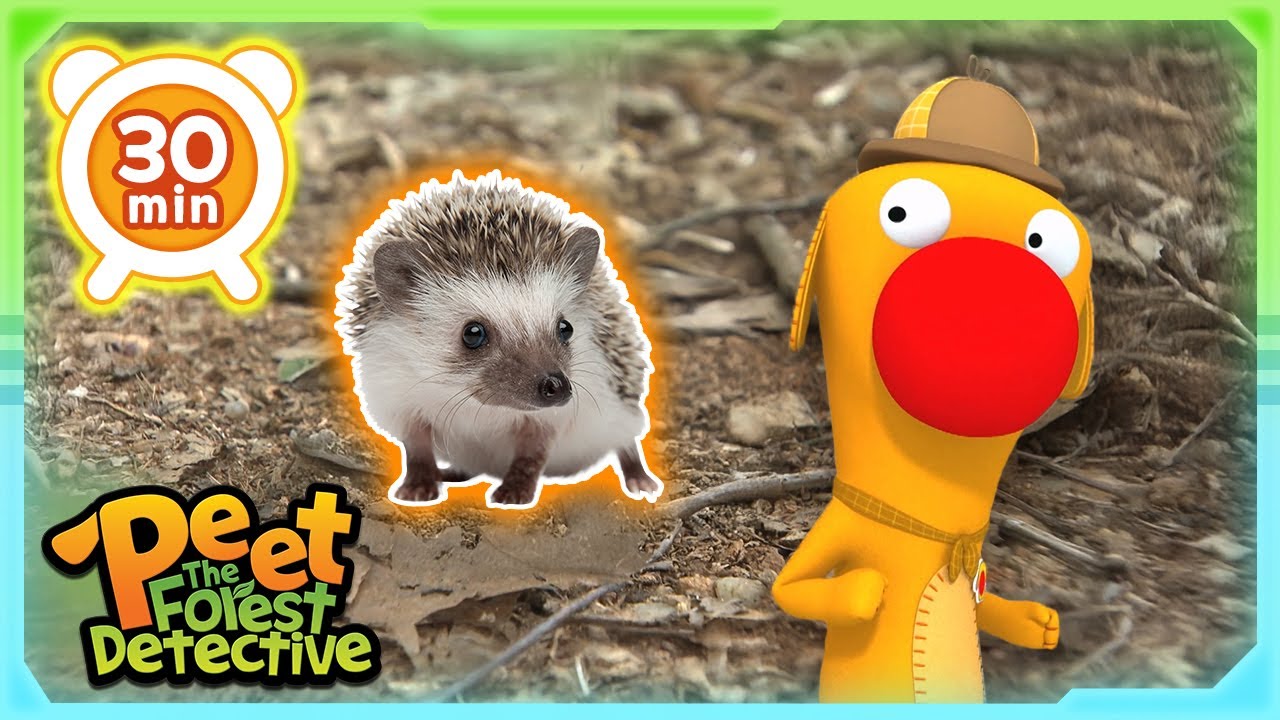Forest Friends Adventure Tales 🌲💧 | Animal Stories For Kids | Peet The Forest Detective