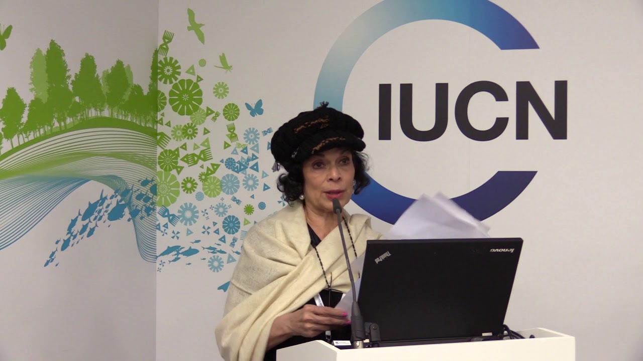 Bianca Jagger, IUCN Pavilion UNFCCC COP23, 8 Nov 2017