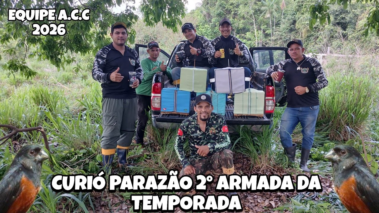 O PRIMEIRO PARDO ESCAPOU DO BICO DO CURIÓ PARAZÃO - ARMADA TOP COM PARCEIROS.