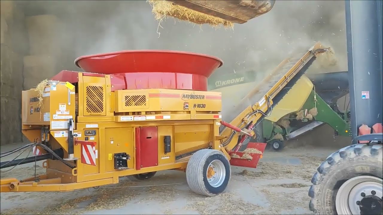 Broyeur de paille HAYBUSTER H1030 sur tracteur CLAAS AXION 950   Broyage de paille de riz