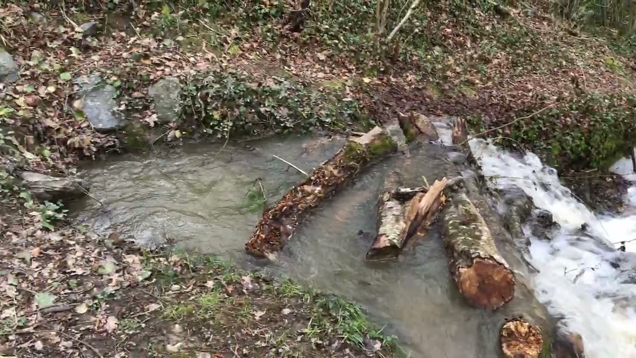 La rigole alimentaire déborde dans l'Erdre