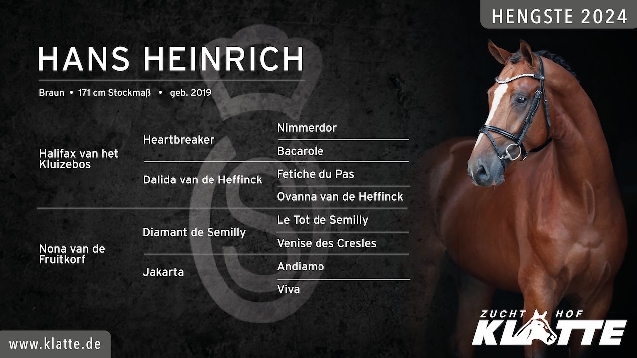 HANS HEINRICH *2019 v.Halifax vh Kluizebos x Diamant de Semilly x Andiamo Hengste 2024 www.klatte.de