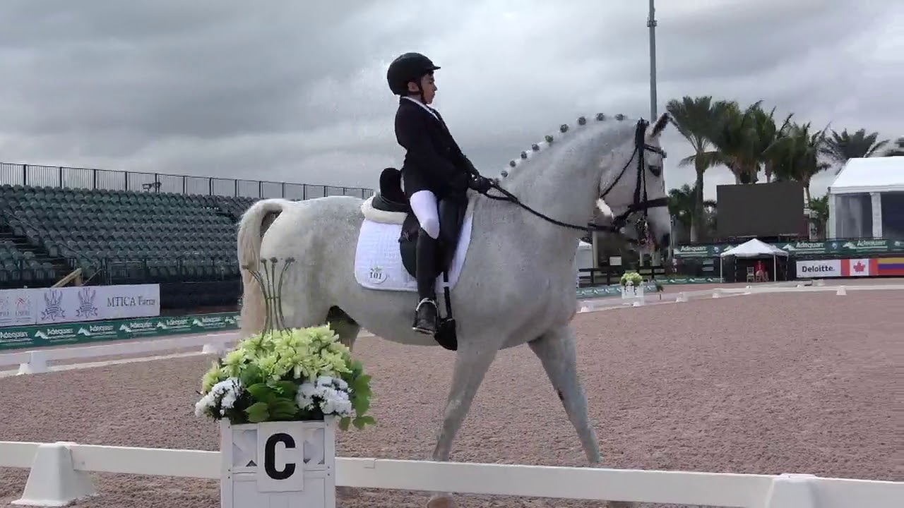 David Botana CPEDI 3* January 21 2018 Freestyle