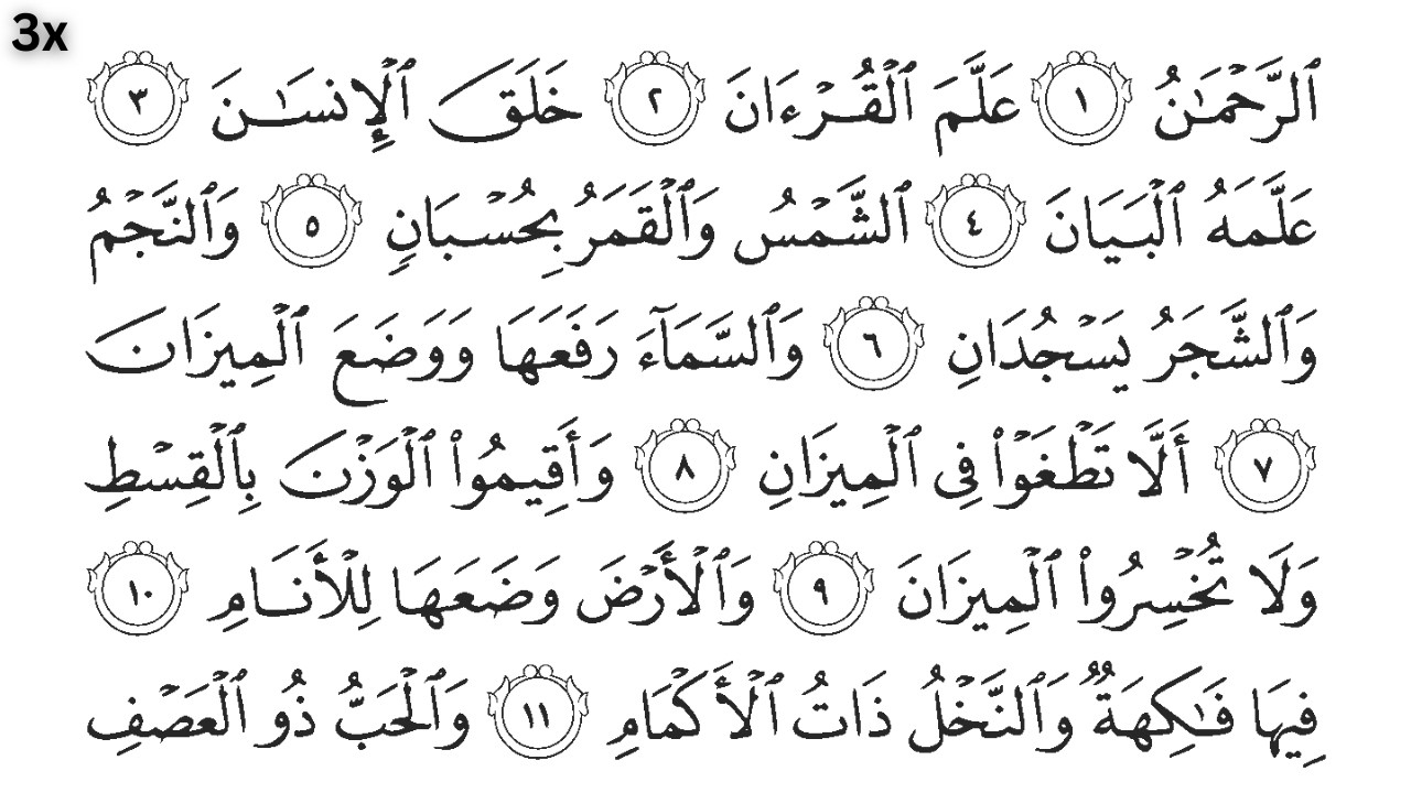 Most Beautiful Quran Recitation | Surah Ar Rahman Tilawat (سورة الرحمن)  Daily Peace tv