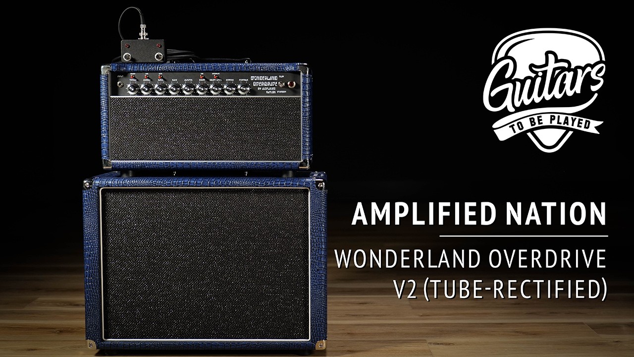 Amplified Nation Wonderland Overdrive V2 (Tube-Rectified) | [Sound Demo]