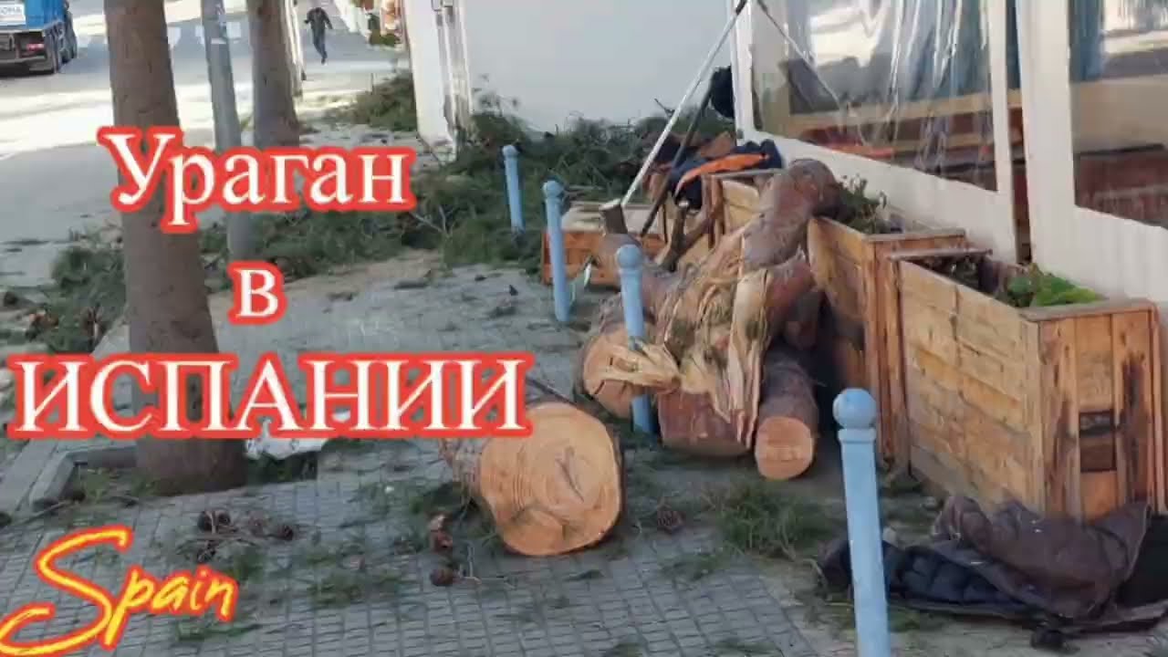 СЛОМАНОЕ ДЕРЕВО на ДОРОГЕ / ГОРОД ПОСЛЕ НОЧНОГО УРАГАНА Море,пляж #spain 
