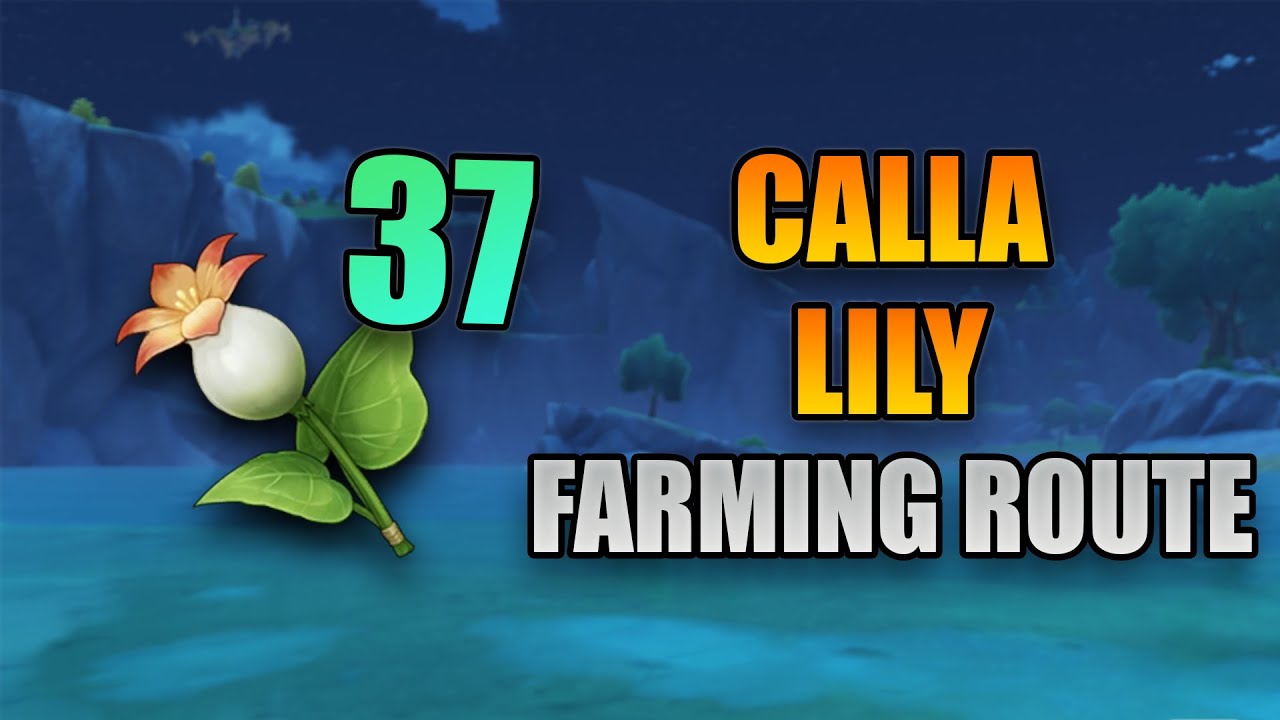 Calla Lily Locations & Farming Route Guide | Genshin Impact