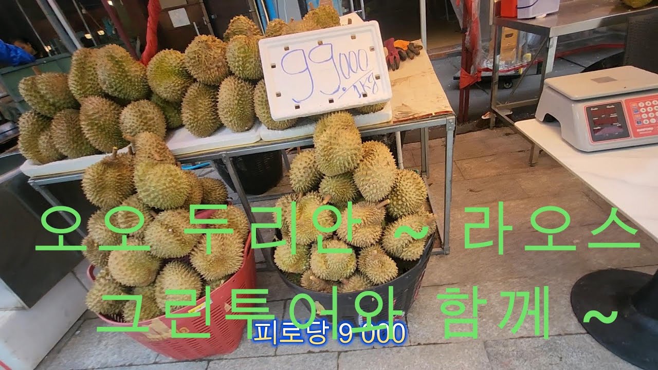 전문 가이드와 함께 거리 투어를 이곳은 여행자거리 라오스 비엔티안 라오스그린투어 입니다 - 유튜버 화산촉