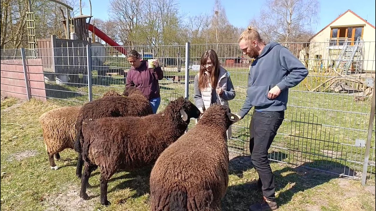Tenever und der Kinderbauernhof