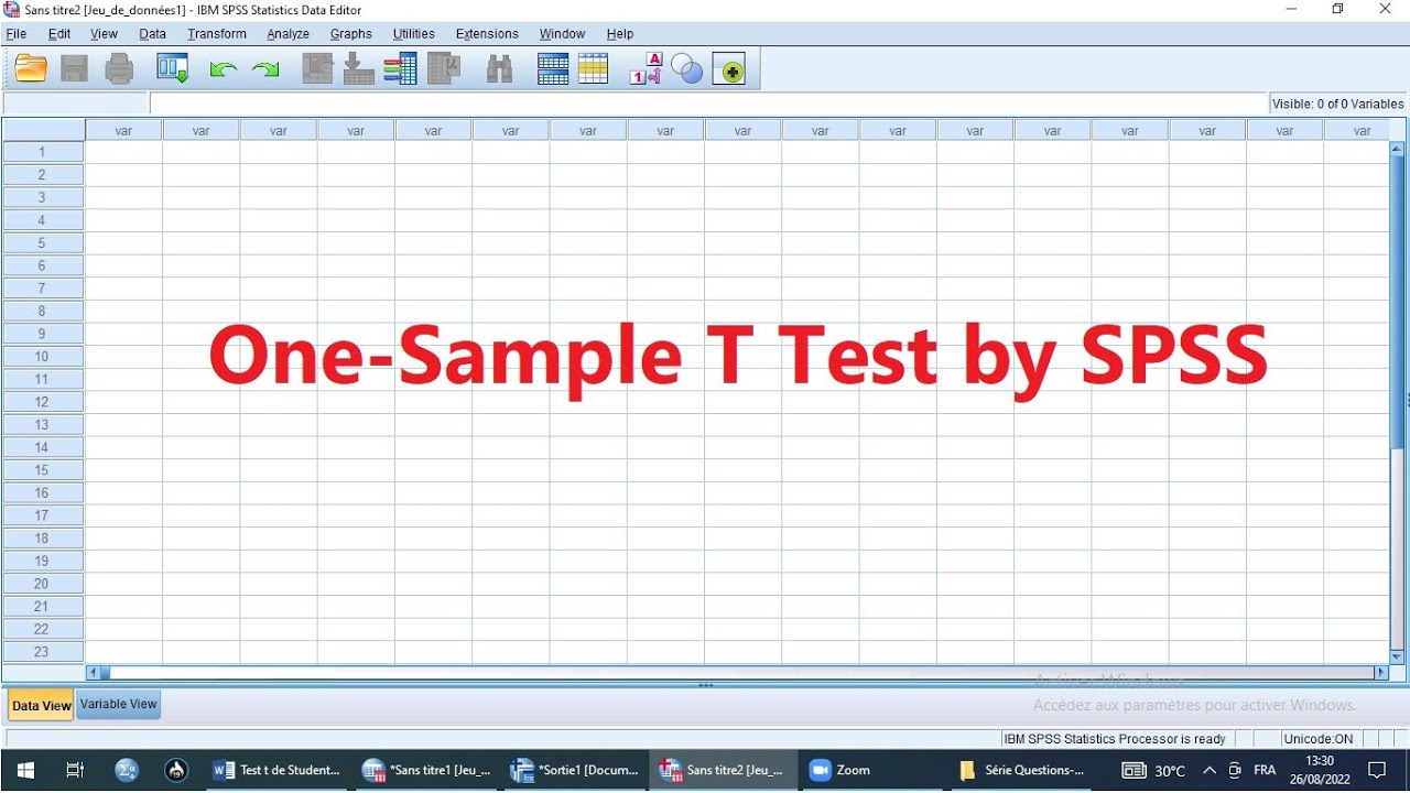 One Sample T Test by SPSS