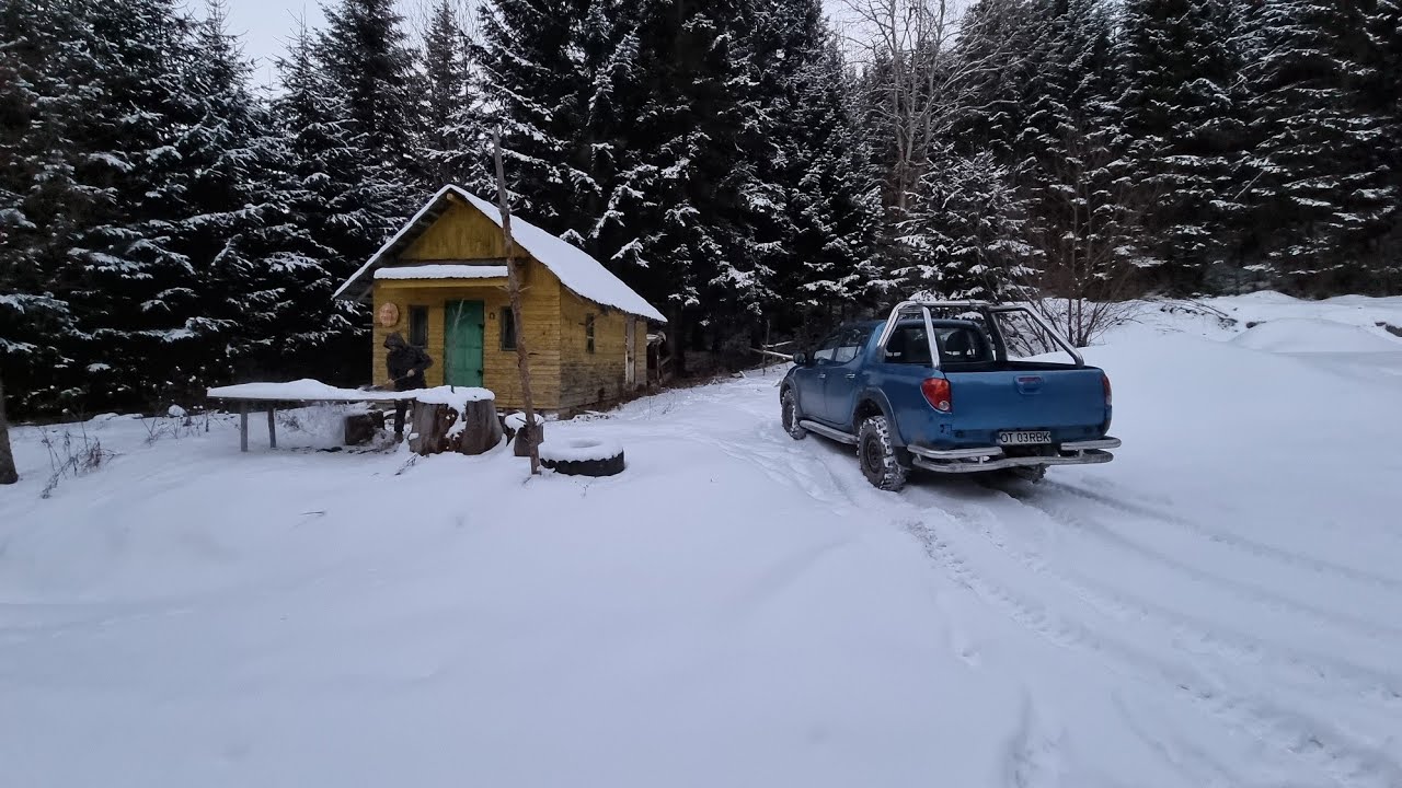 Am poposit la cabana din padure !