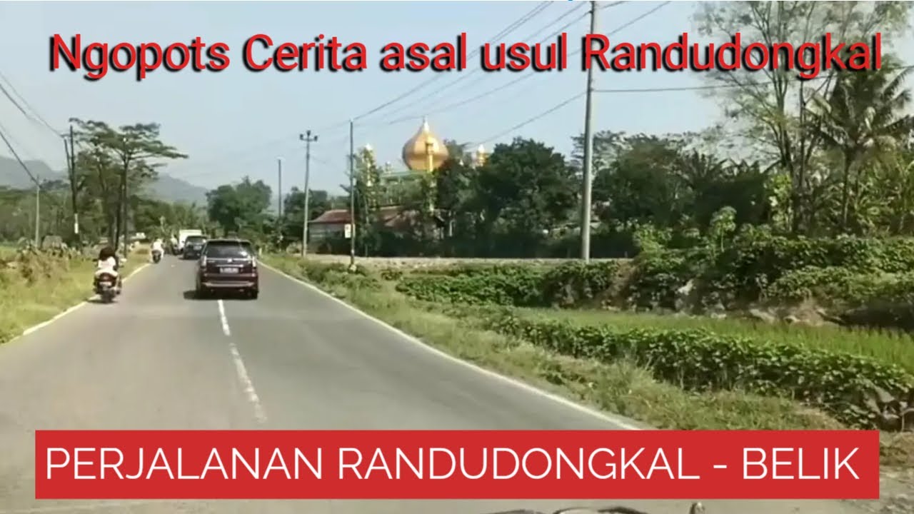 Melintas di Jalan Randudongkal - Belik Pemalang