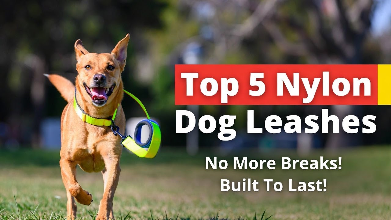 Top 5 best dog leash nylon material review guide 2026 latest update (Hidden Gem) stop leash failure
